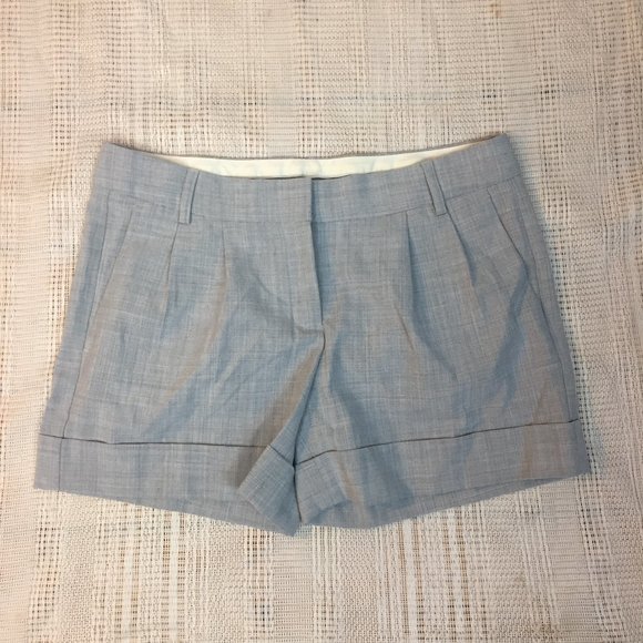 Express Pants - Express Editor Shorts